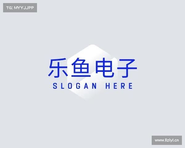 了解乐鱼电子